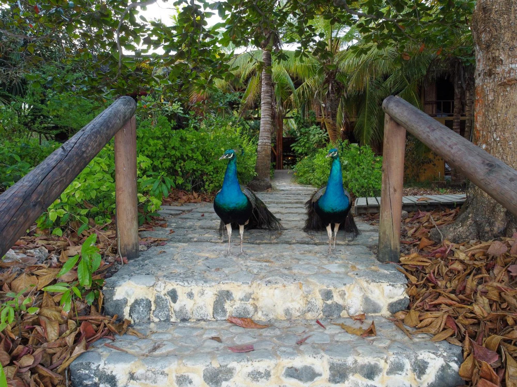 Вилла Isla Fuerte Eco House Puerto Limon Экстерьер фото