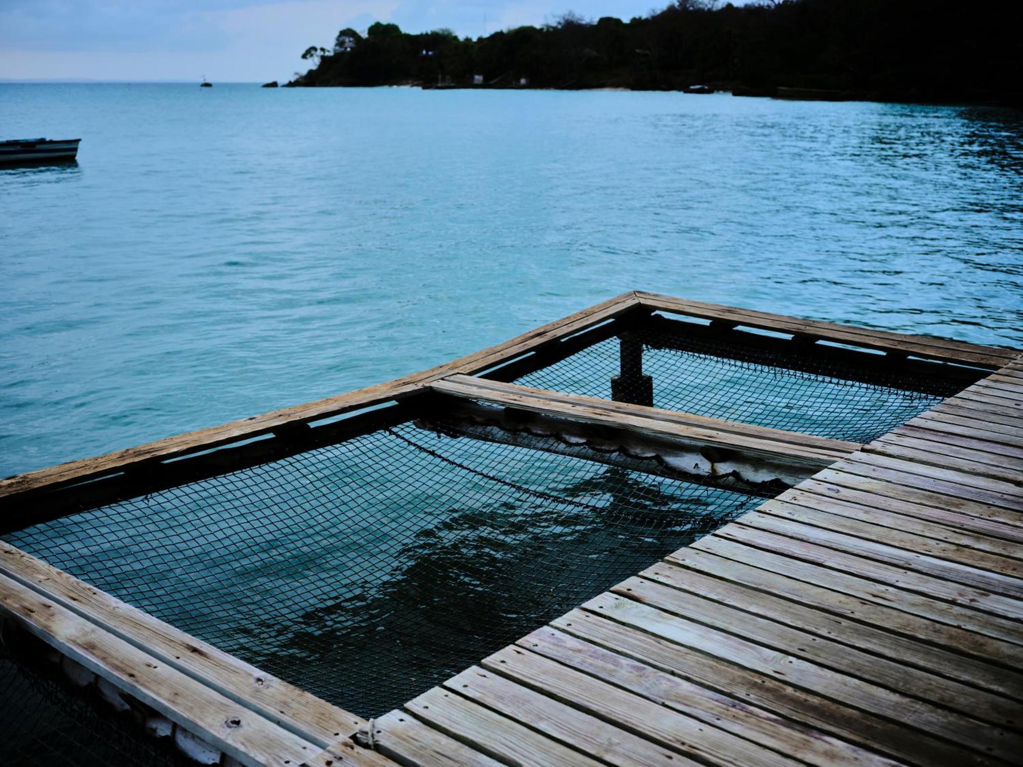 Вилла Isla Fuerte Eco House Puerto Limon Экстерьер фото